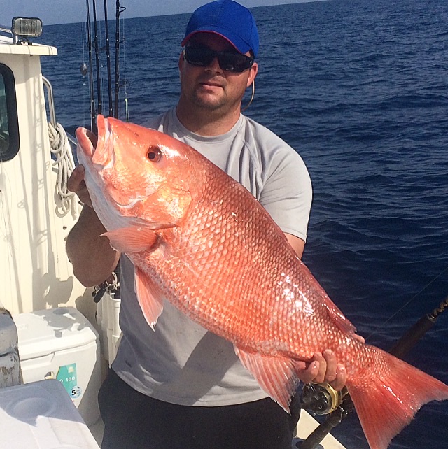 Red Snapper Fishing, With a Surprise COBIA ( Pascagoula