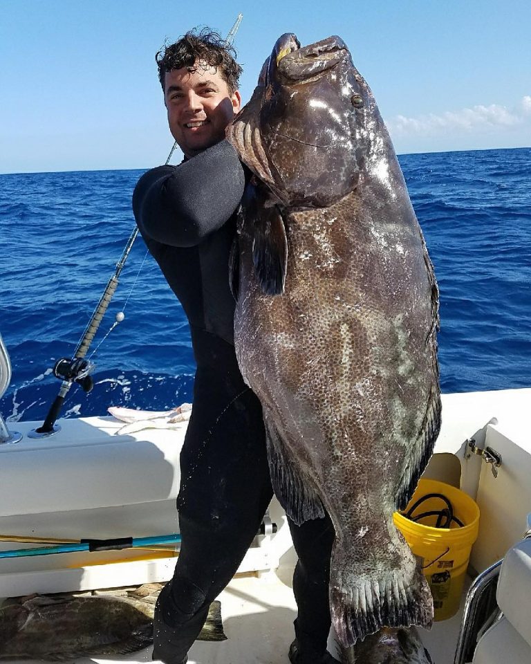naples grouper bottom fishing trips 03