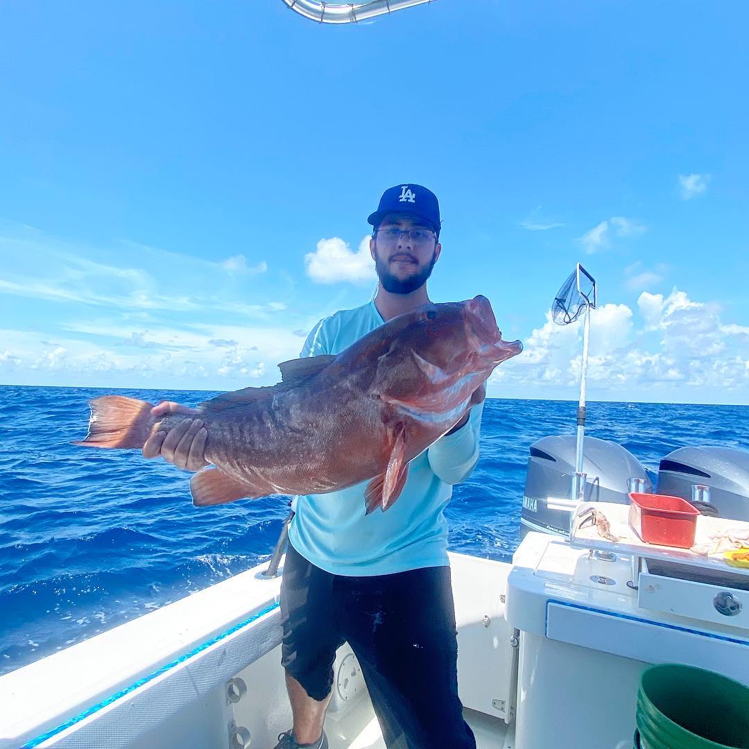 Bottom Fishing Trips  Fishing Charters Amazing Deep Sea Fishing