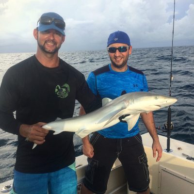 shark fishing trips naples florida 01