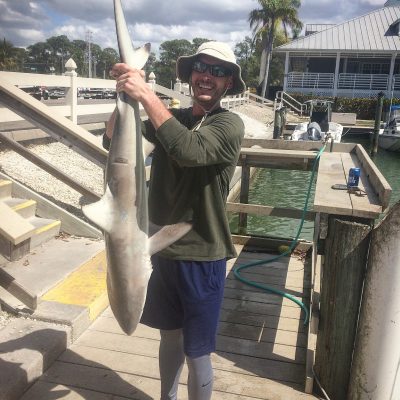 shark fishing trips naples florida 03